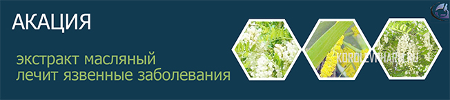 Акация белая экстракт масляный