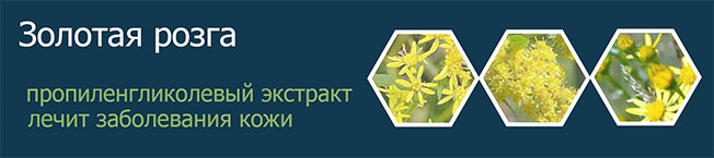 ЗОЛОТАЯ РОЗГА (ЗОЛОТАРНИК) ЭКСТРАКТ ПРОПИЛЕНГЛИКОЛЕВЫЙ 