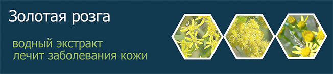 ЗОЛОТАЯ РОЗГА (ЗОЛОТАРНИК) ЭКСТРАКТ ВОДНЫЙ 
