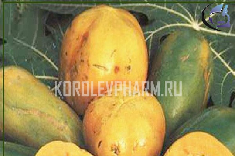 ПАПАЙЯ ЭКСТРАКТ ПРОПИЛЕНГЛИКОЛЕВЫЙ (ПЛОДЫ)