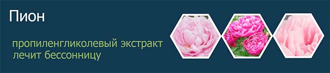 ПИОН ЭКСТРАКТ ВОДНО-ПРОПИЛЕНГЛИКОЛЕВЫЙ  (КОРНИ И КОРНЕВИЩЕ)