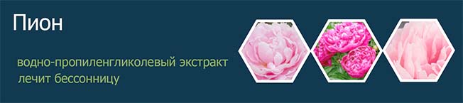 ПИОН ЭКСТРАКТ ВОДНО-ПРОПИЛЕНГЛИКОЛЕВЫЙ  (КОРНИ И КОРНЕВИЩЕ)