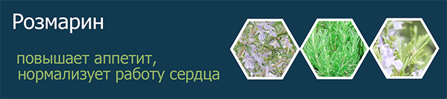 РОЗМАРИН ЭКСТРАКТ ВОДНО-ПРОПИЛЕНГЛИКОЛЕВЫЙ 