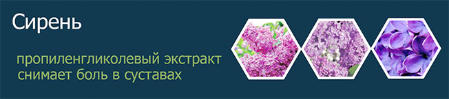 СИРЕНЬ ЭКСТРАКТ ПРОПИЛЕНГЛИКОЛЕВЫЙ 
