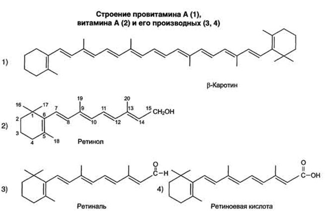 РЕТИНИЛПАЛЬМИТАТ