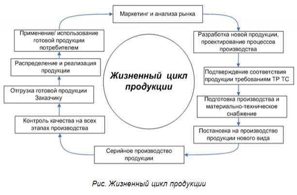 Курсовая Работа Жизненный Цикл Товара Opencart