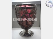 Рис.6 Так выглядит кубок при обычном освещении